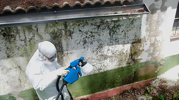 Trusted Mold Remediation service in Aurora, IL - Cheap Mold Removal